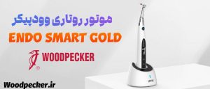 اندو روتاری اندو اسمارت گلد وودپیکر Endo Smart Gold