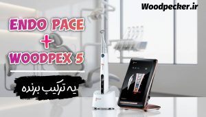 اندو روتاری اندوپیس وودپیکر Endo Pace