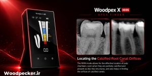 اپکس فایندر وودپکس 10 وودپیکر woodpecker - اپکس لوکیتور نسل 10 وودپیکر Woodpecker