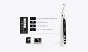 روتاری اندو اسمارت پلاس وودپیکر Woodpecker Endo Smart Plus - قیمت خرید اندو روتاری اندو اسمارت پلاس وودپیکر Woodpecker Endo Smart Plus - اندو اسمارت پلاس