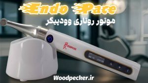 اندو موتور روتاری اندو پیس وودپیکر endo pace woodpecker